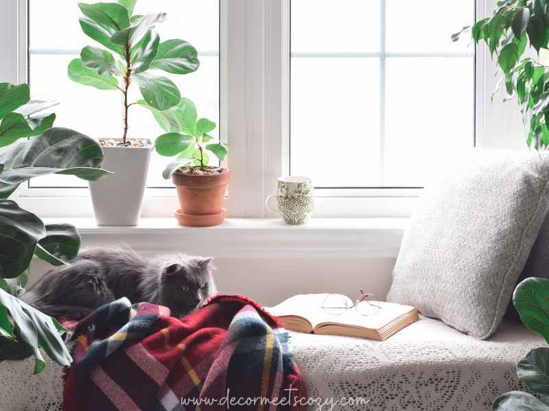 20 WAYS TO CREATE A COZY READING NOOK AREA IN YOUR HOME