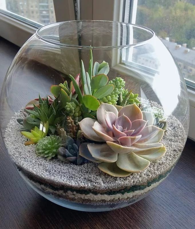 25 Beautiful Ways to Decorate with Succulents