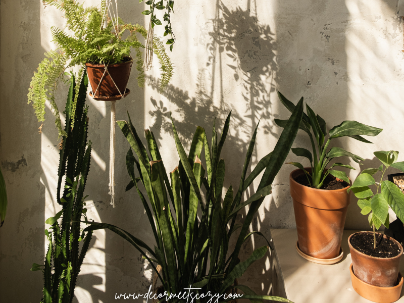 30 Stylish Ways To Decorate With Natural Elements