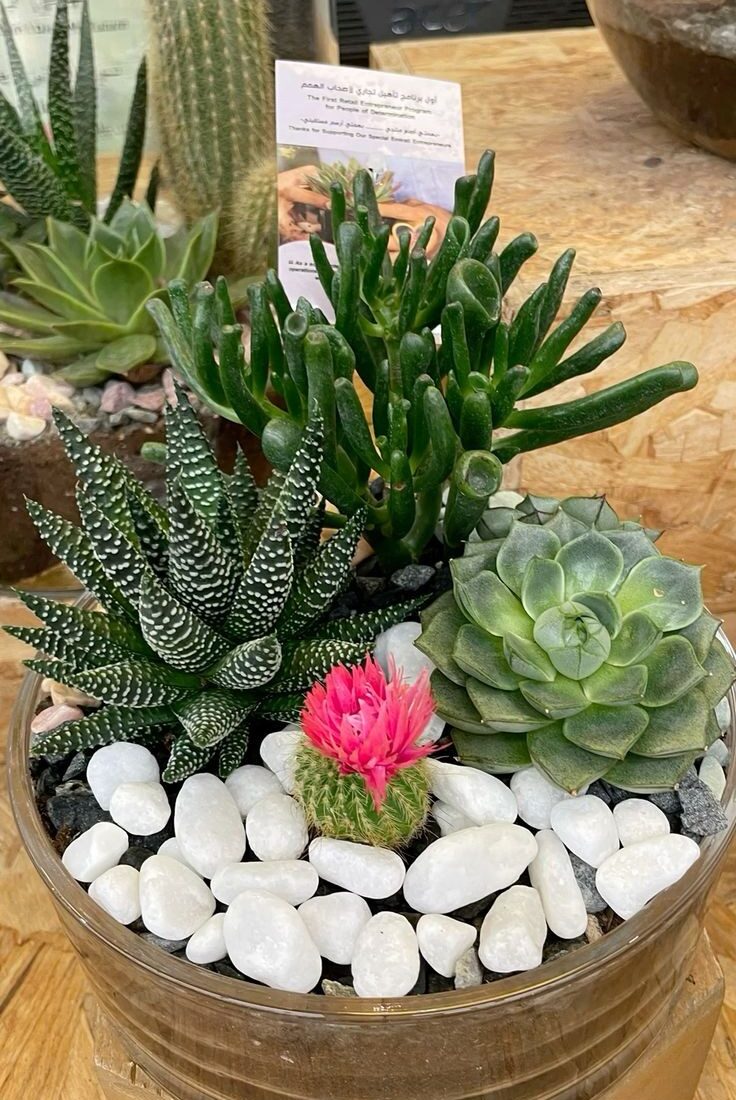 28 Creative Ways to Add Greenery to Your Bathroom