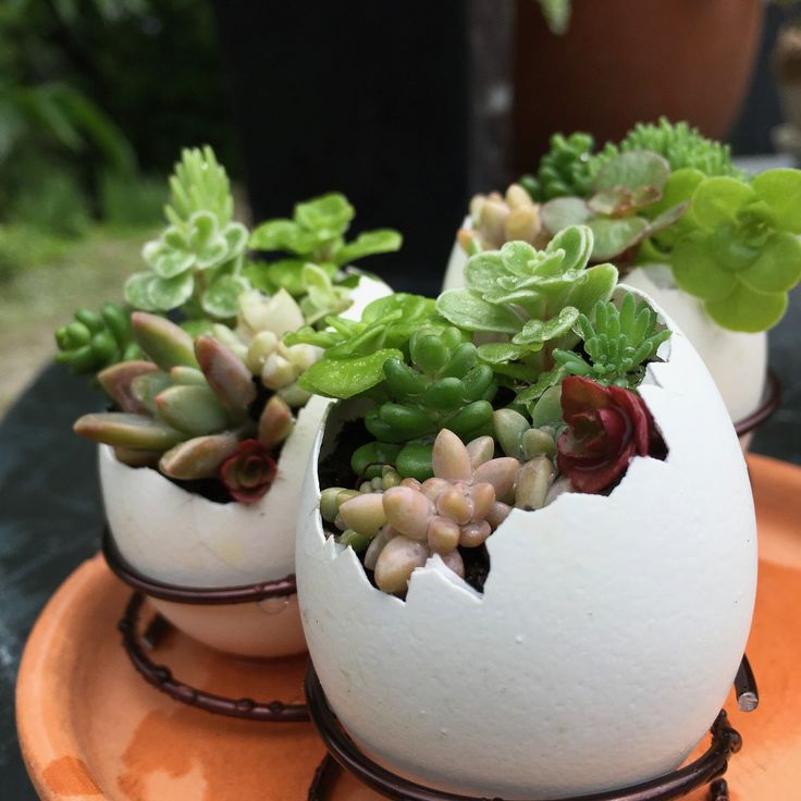 EASTER CENTERPIECE IDEAS